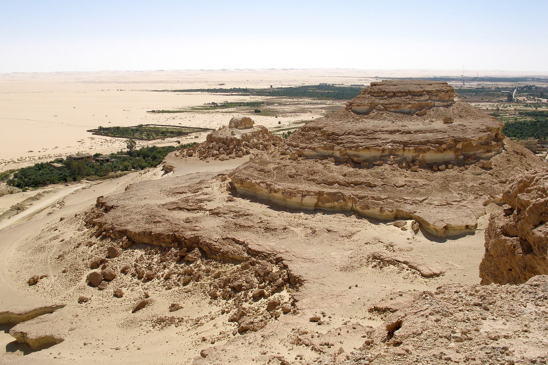 Great Sand Sea expedition from Siwa