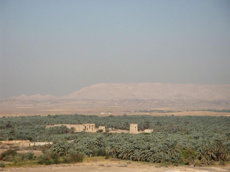 Palm groves below the desert escarpment in the Western Desert oases