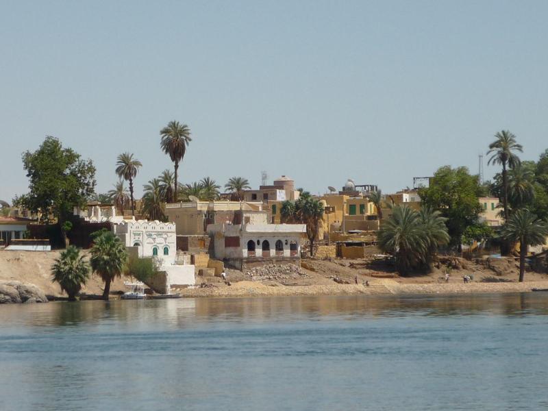 Houses among palm trees on the Nile riverbank at Aswan