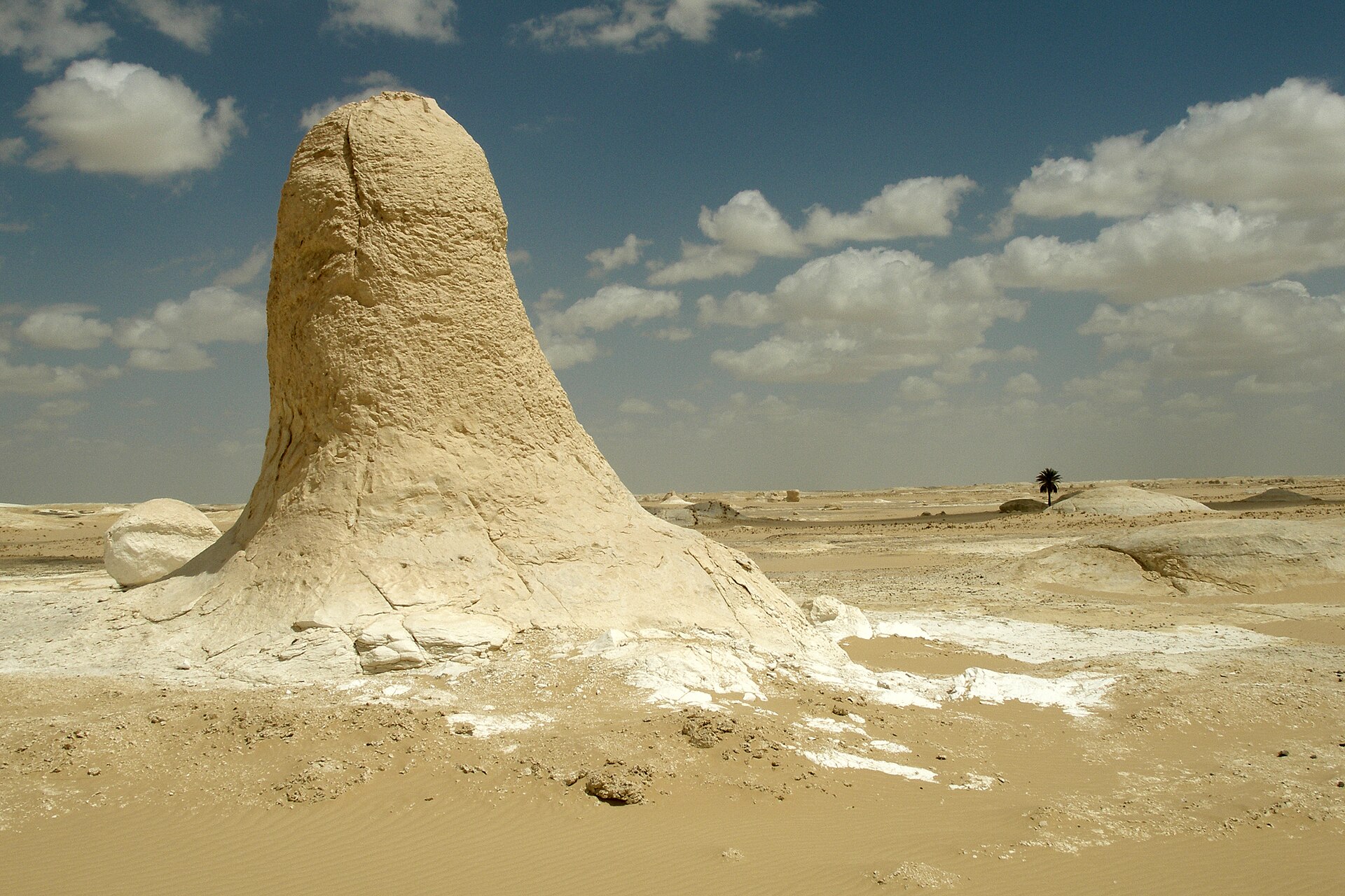 White Desert and Bahariya Oasis overnight
